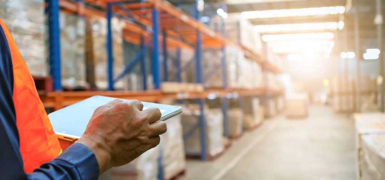 warehouse worker checking inventory with specialized WMS