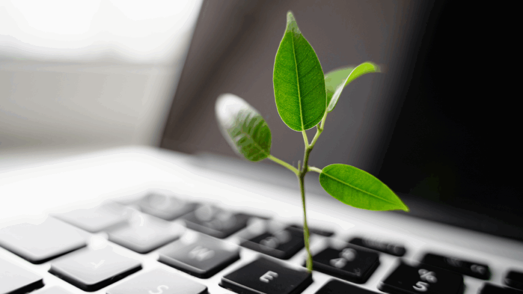 Sustainability in Software